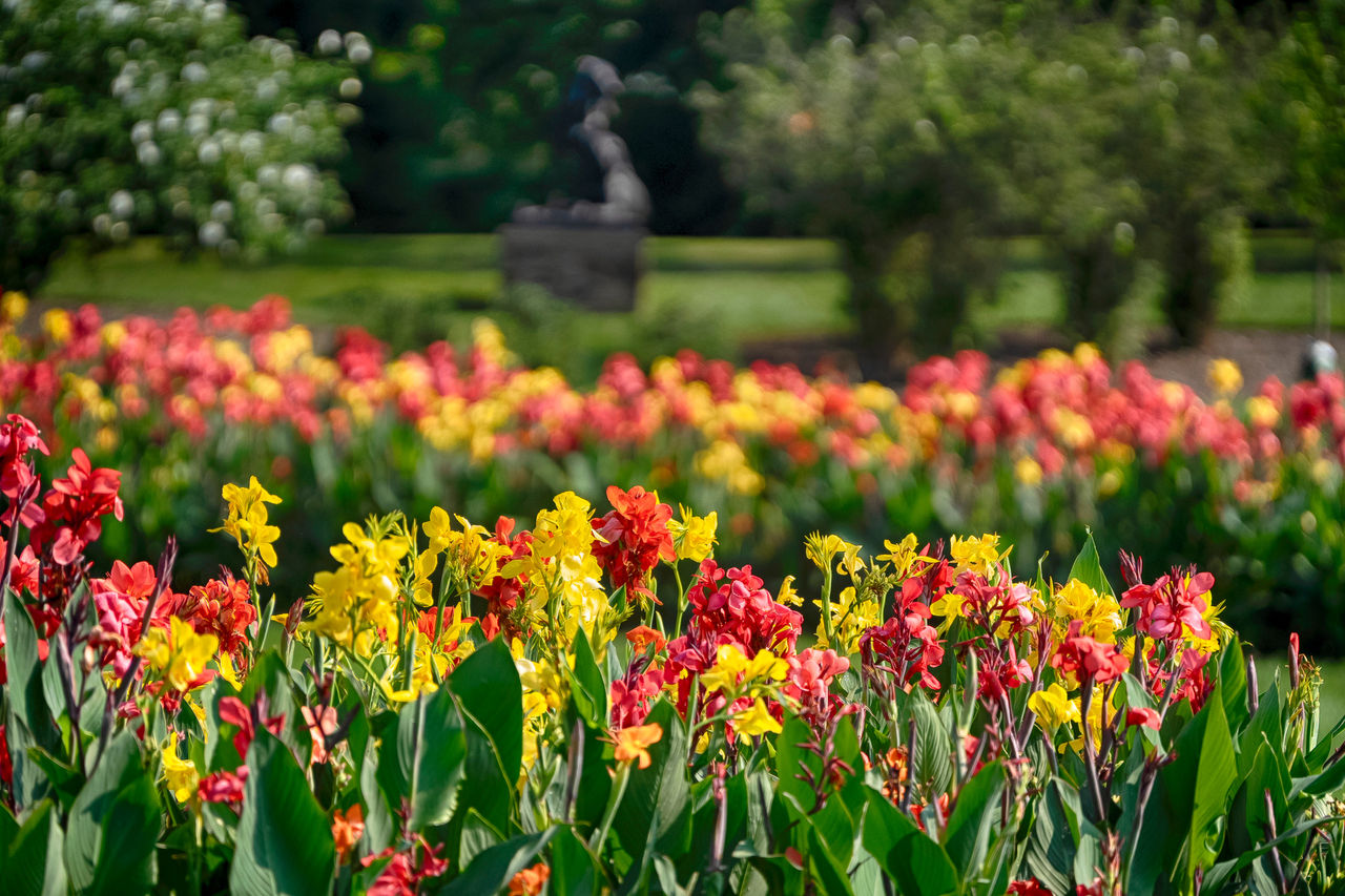 Professional photograph of flowers on the Nemours Estate.. Professional photograph of flowers on the Nemours Estate..
