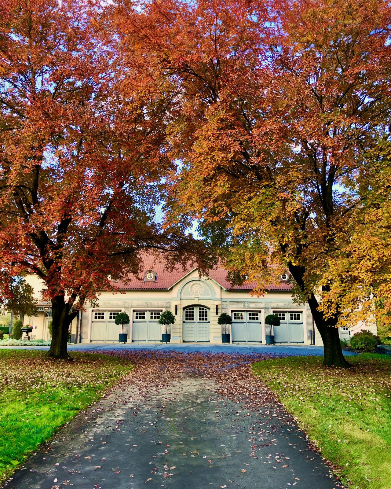 Trees with beautiful fall leaves line the paved road that leads to the Chauffeur's Garage at Nemours Estate.